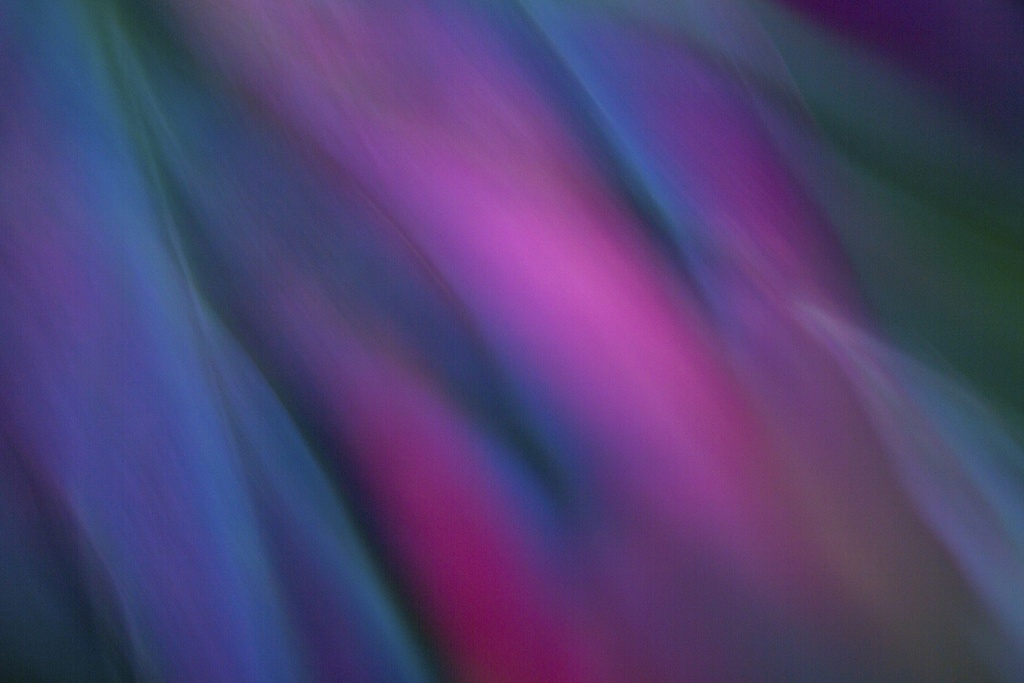 Moving In Color-1