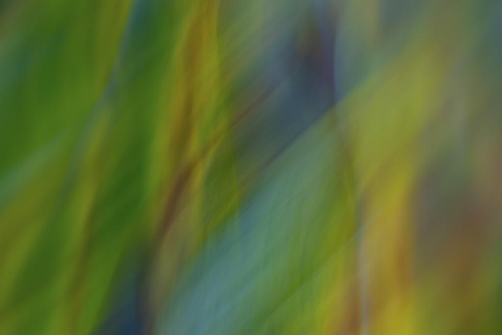 Moving In Color-2