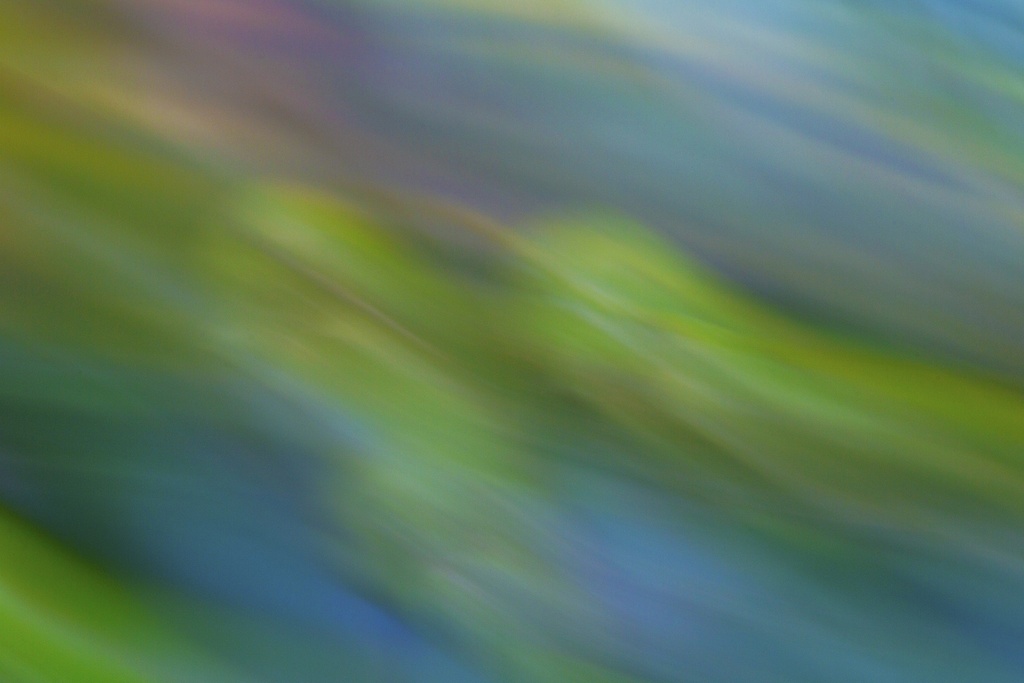 Moving In Color-3