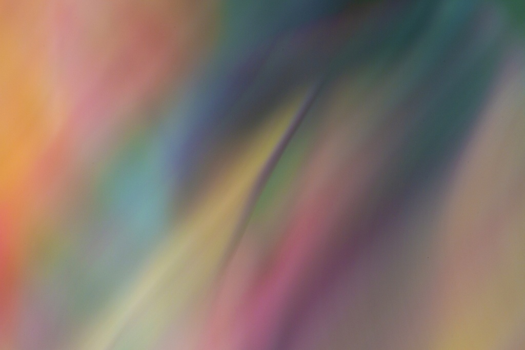 Moving In Color-4