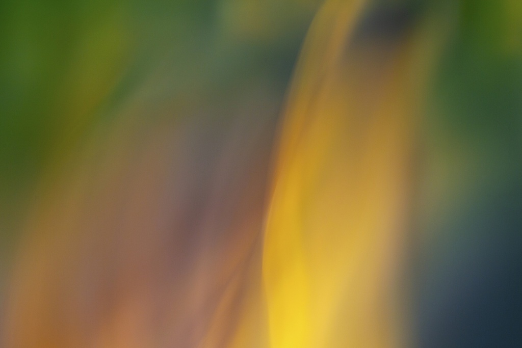 Moving In Color-5